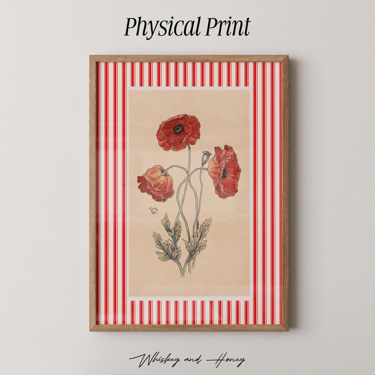 Vintage Red Poppy Print
