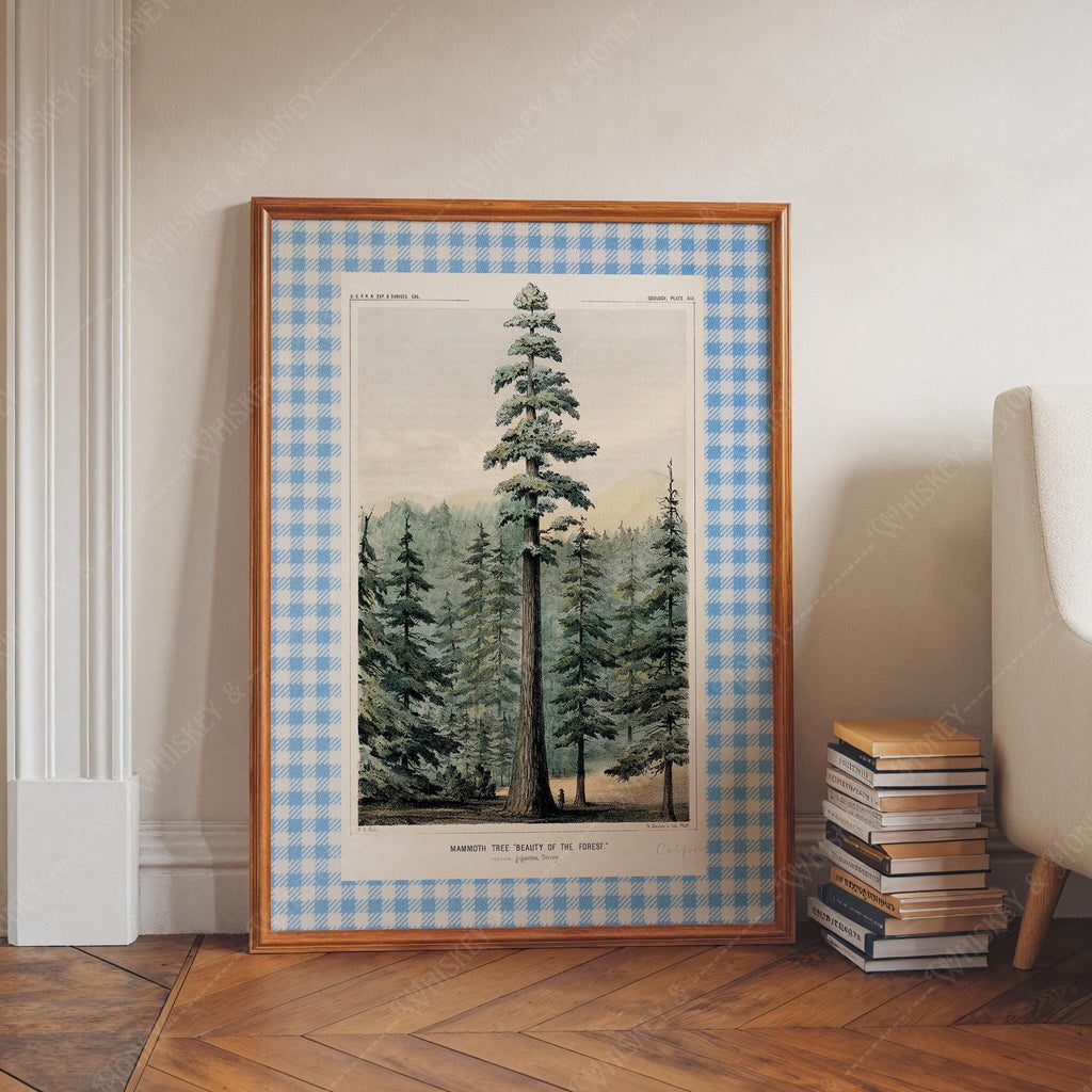 Vintage Pine Tree Print