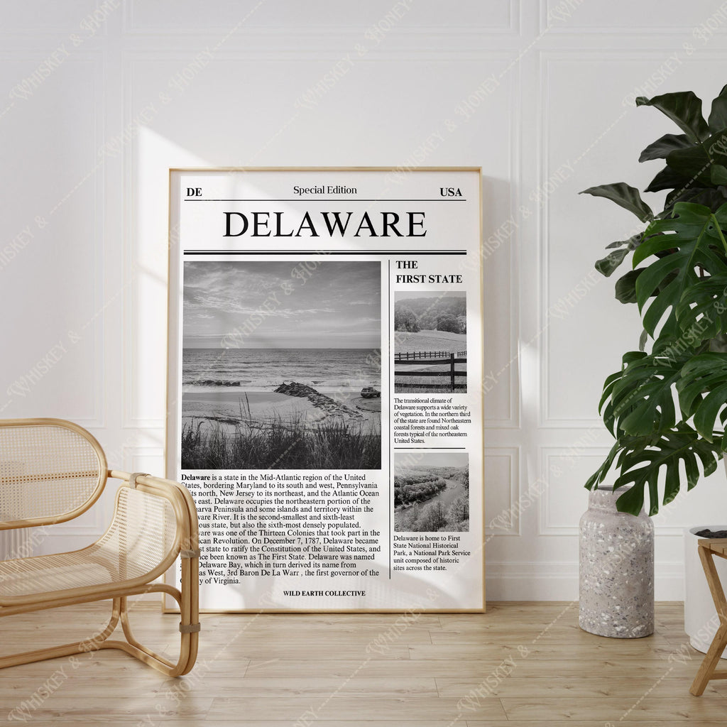 Delaware Newspaper Print
