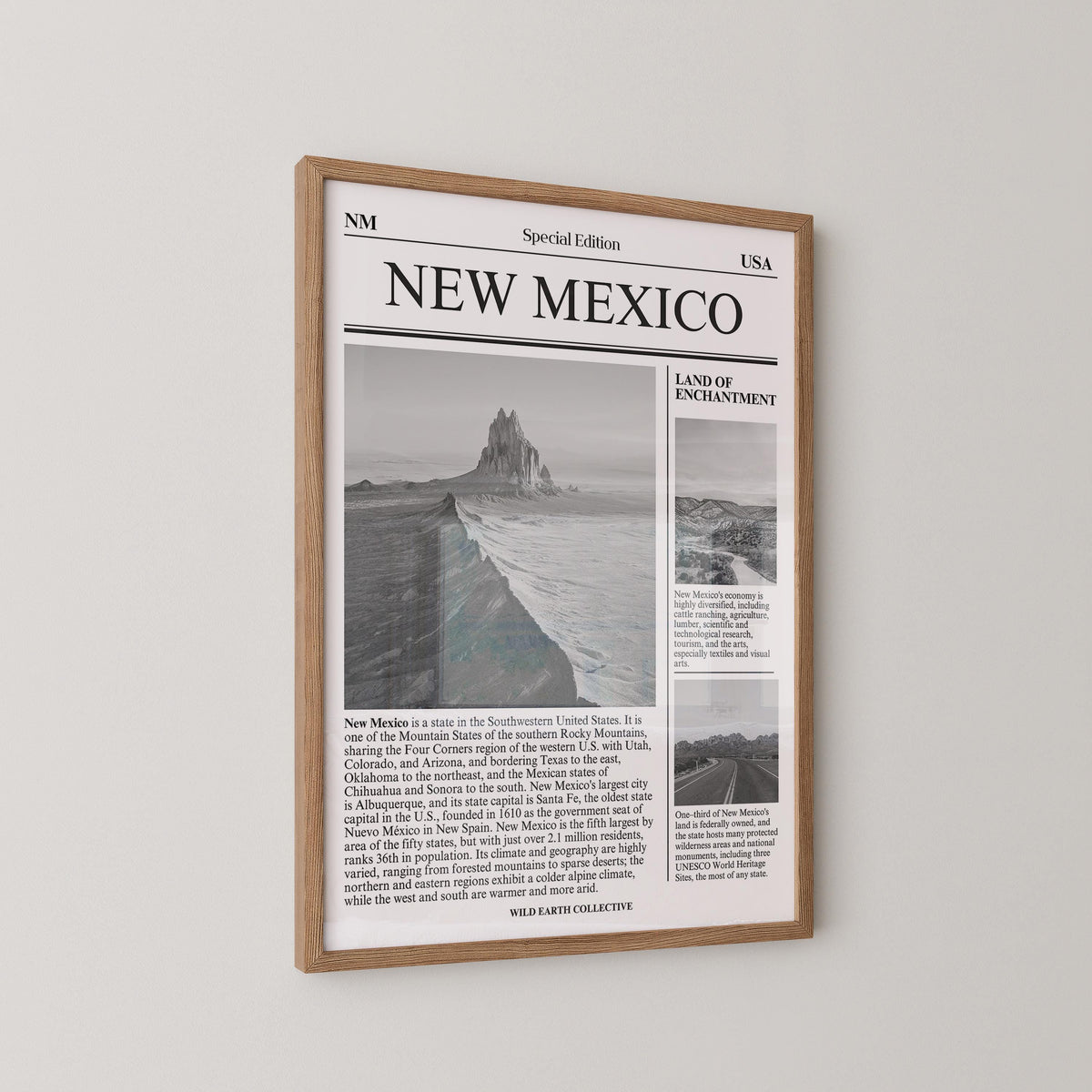 New Mexico Newspaper Print