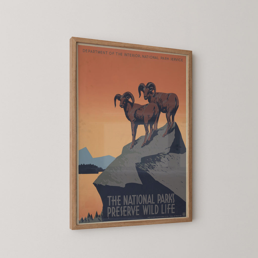 The National Parks Preserve and Wildlife Print