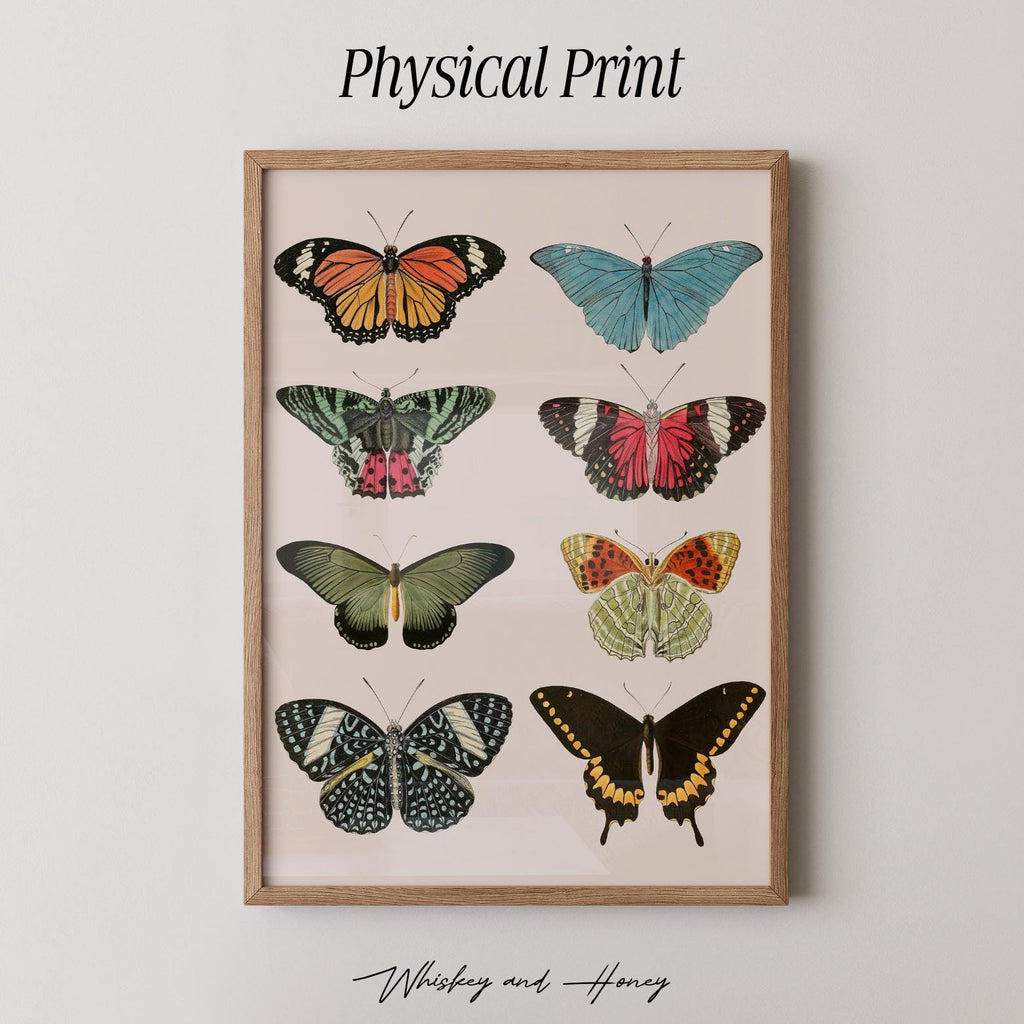 Vintage Butterfly Print