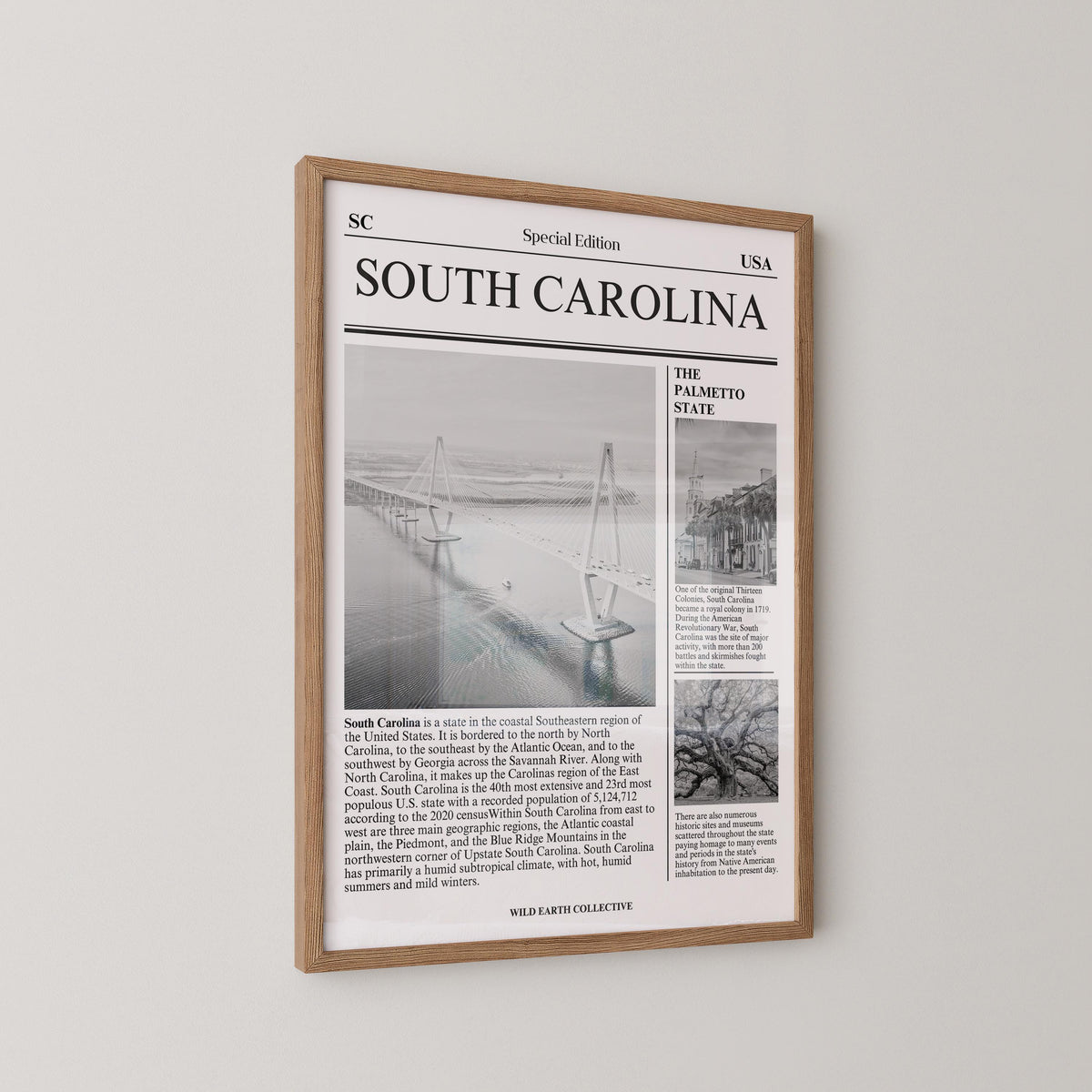 South Carolina Newspaper Print