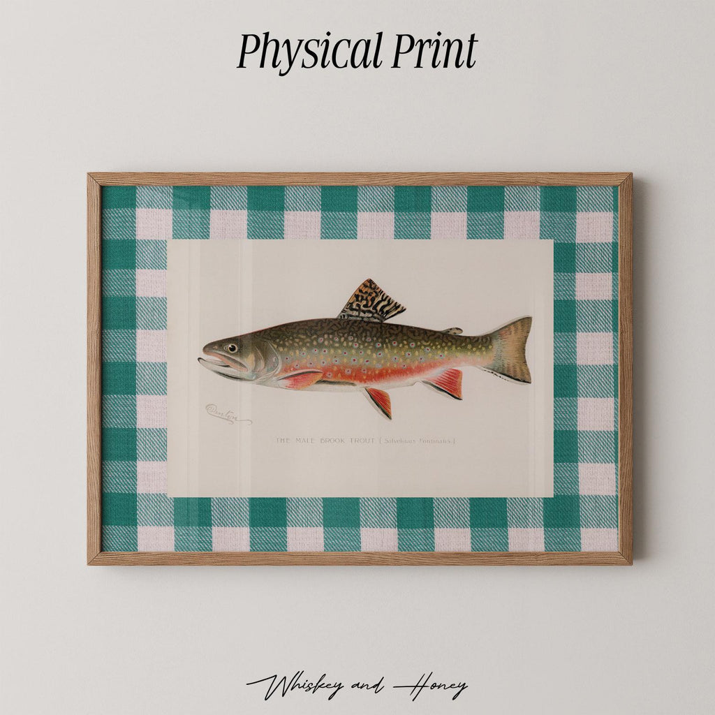 Vintage Trout Print