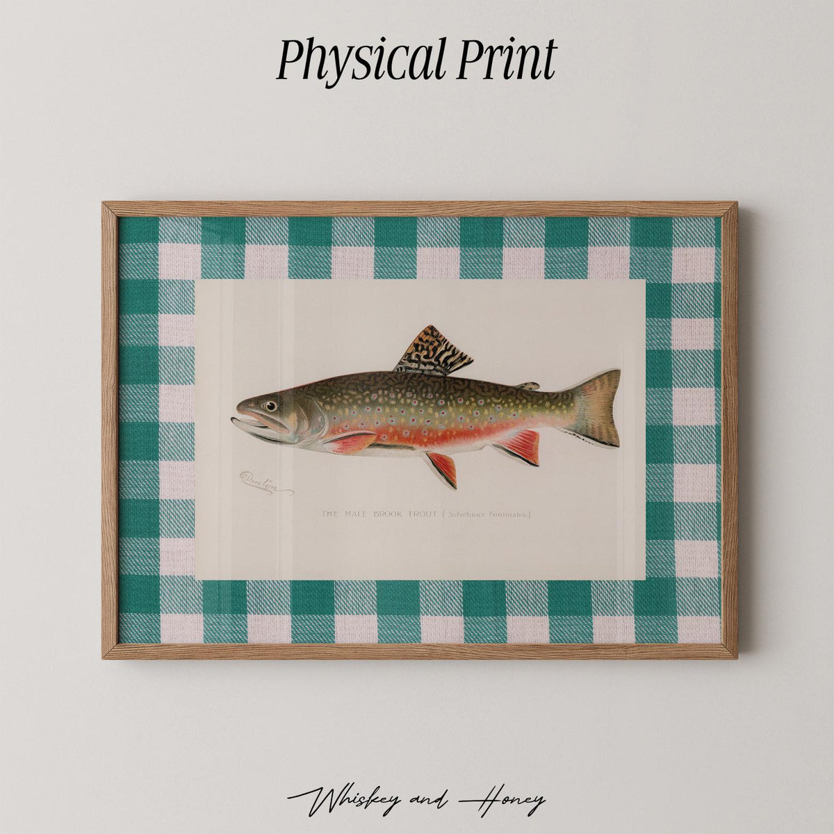 Vintage Trout Print