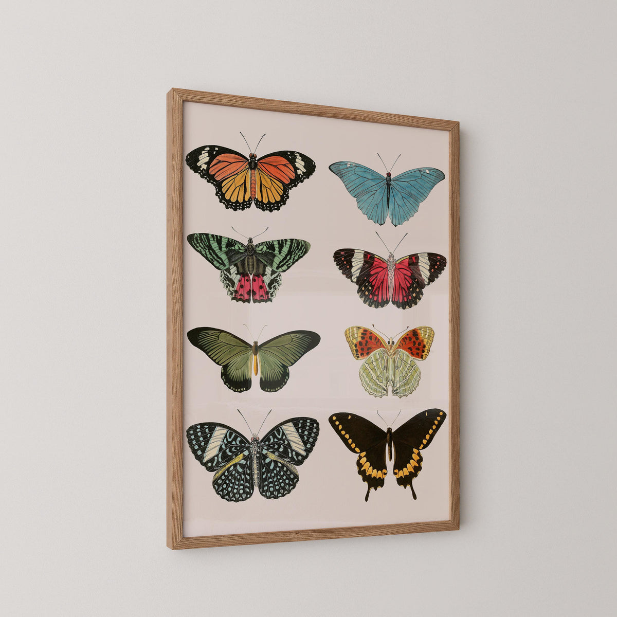 Vintage Butterfly Print