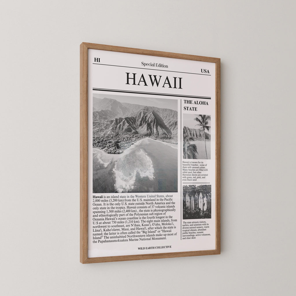 Hawaii Newspaper Print