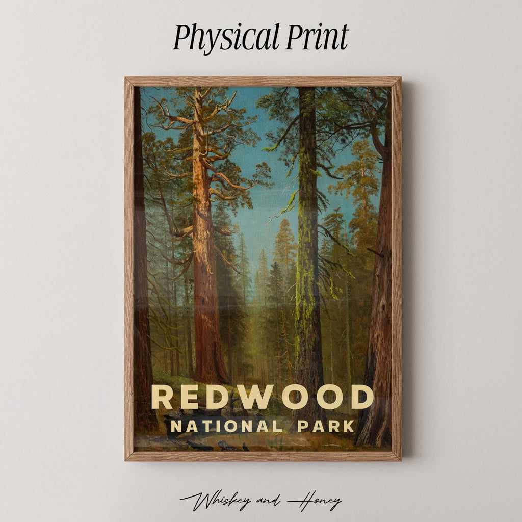 Vintage Redwood National Park Print