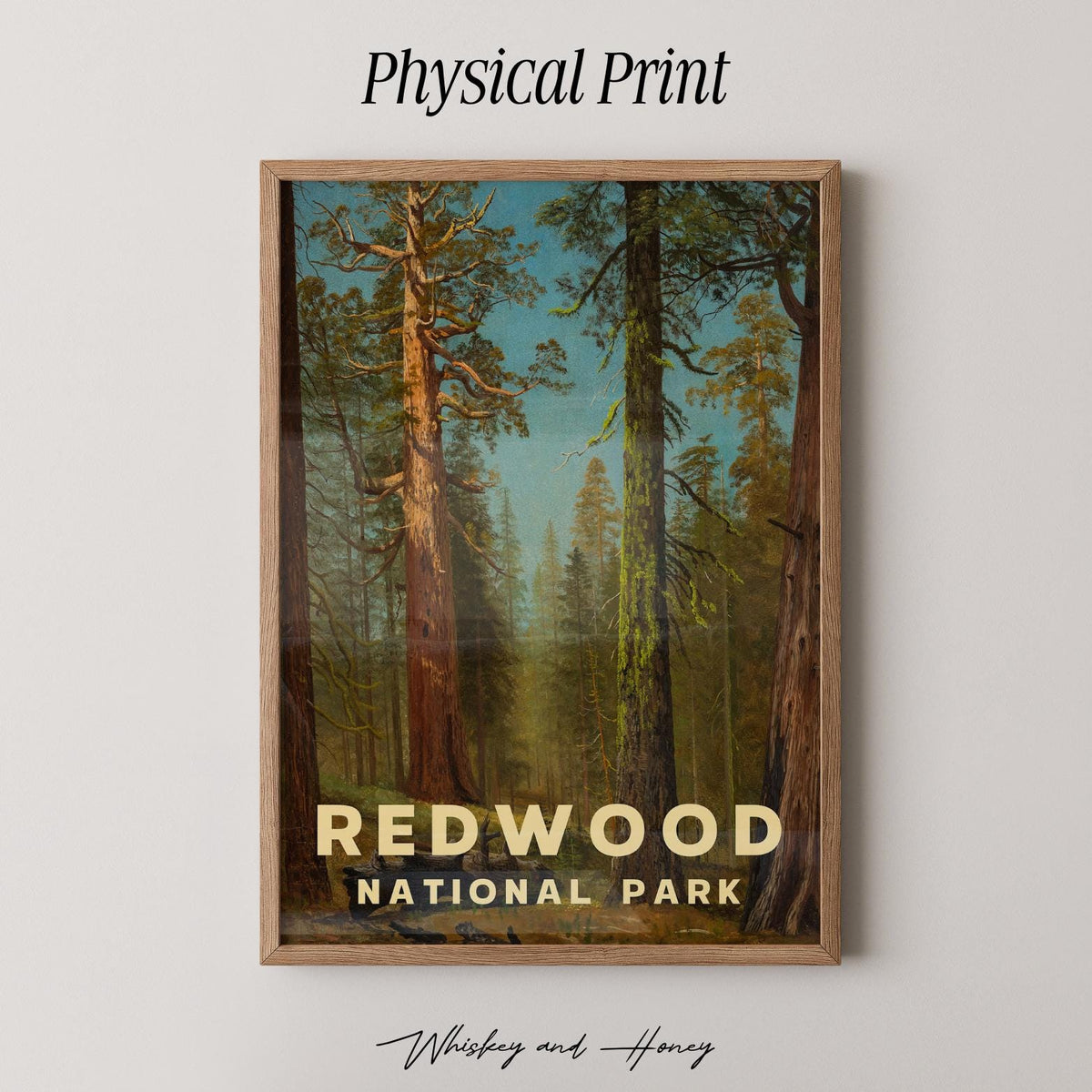 Vintage Redwood National Park Print