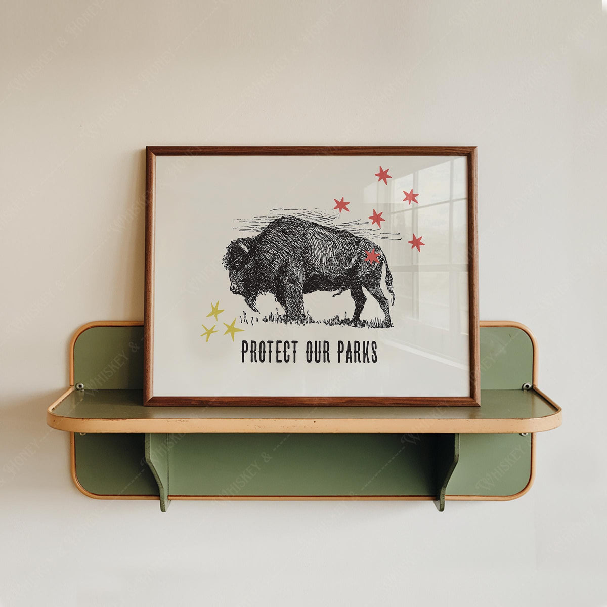 Protect Our National Parks Print
