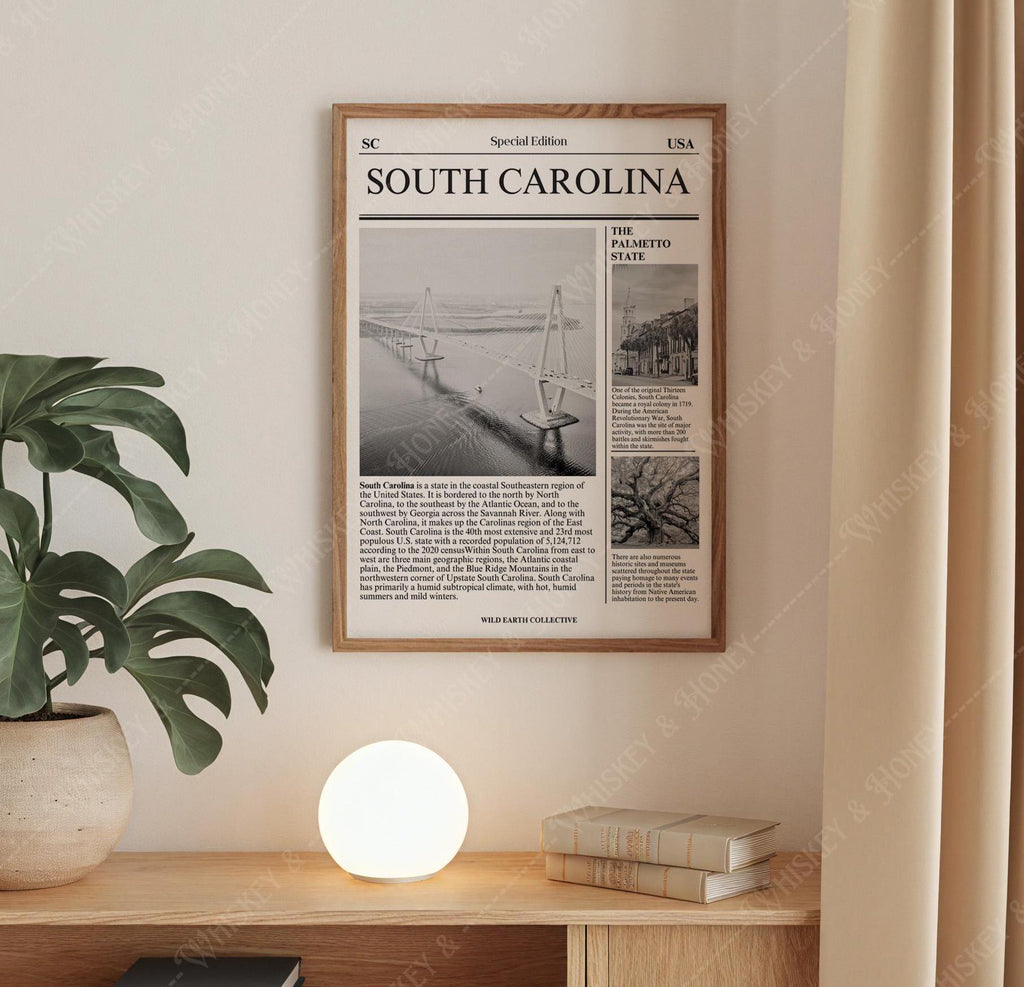 South Carolina Newspaper Print