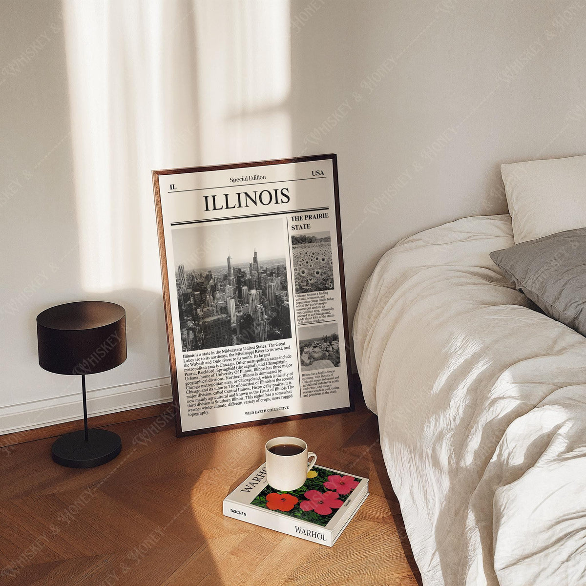 Illinois Newspaper Print