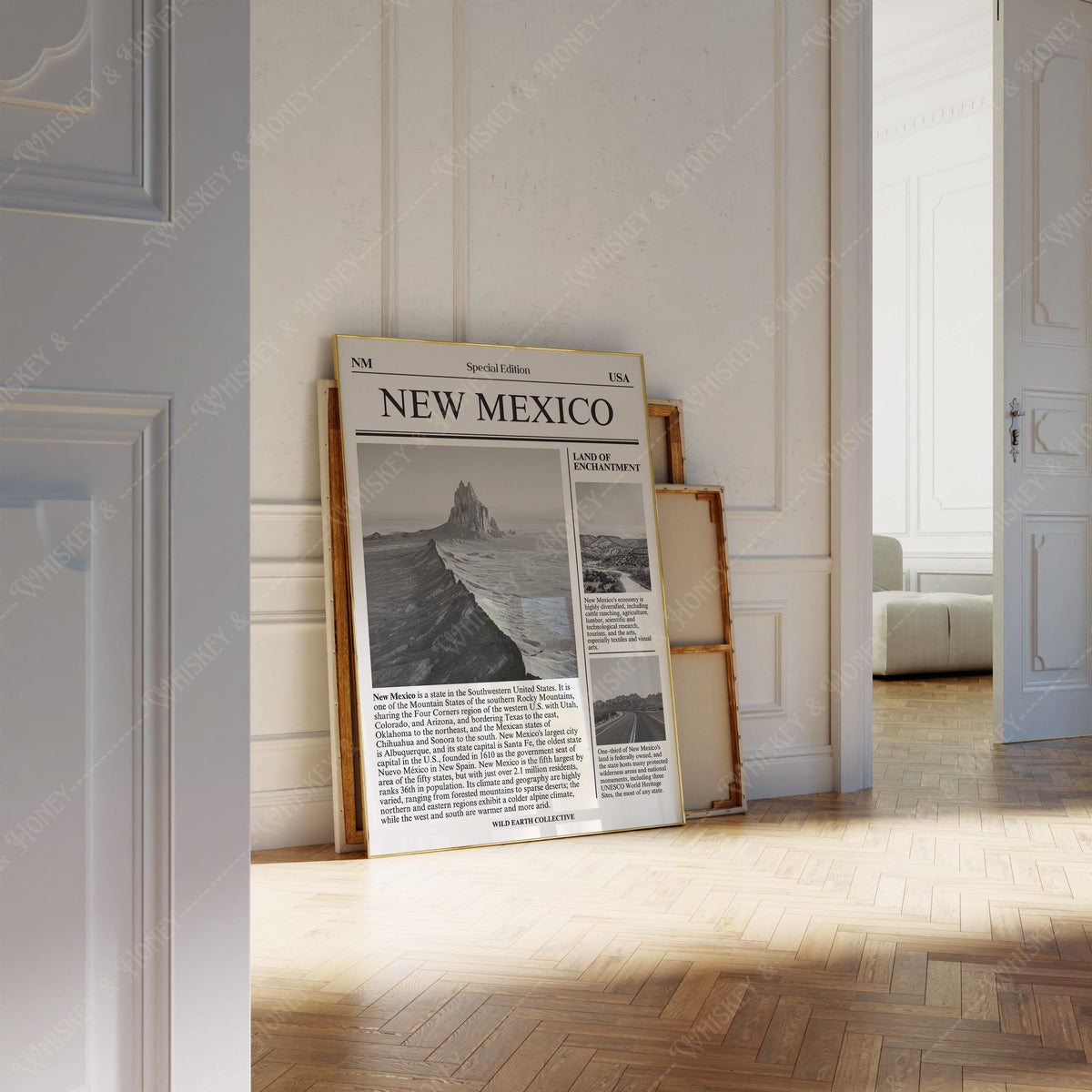 New Mexico Newspaper Print