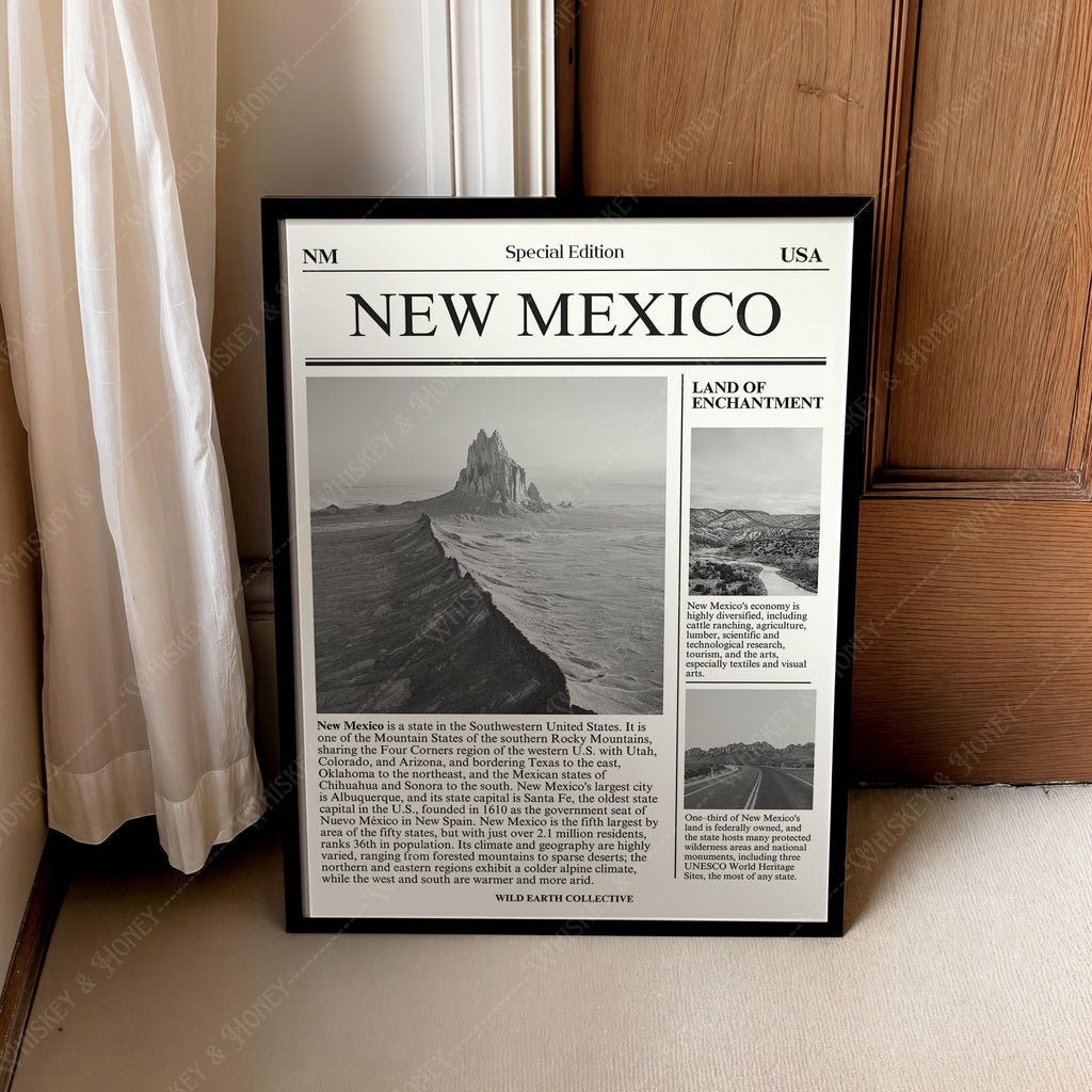 New Mexico Newspaper Print