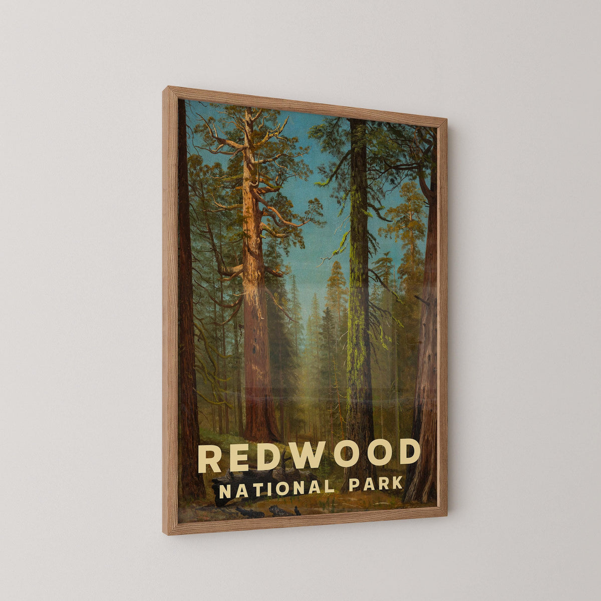Vintage Redwood National Park Print