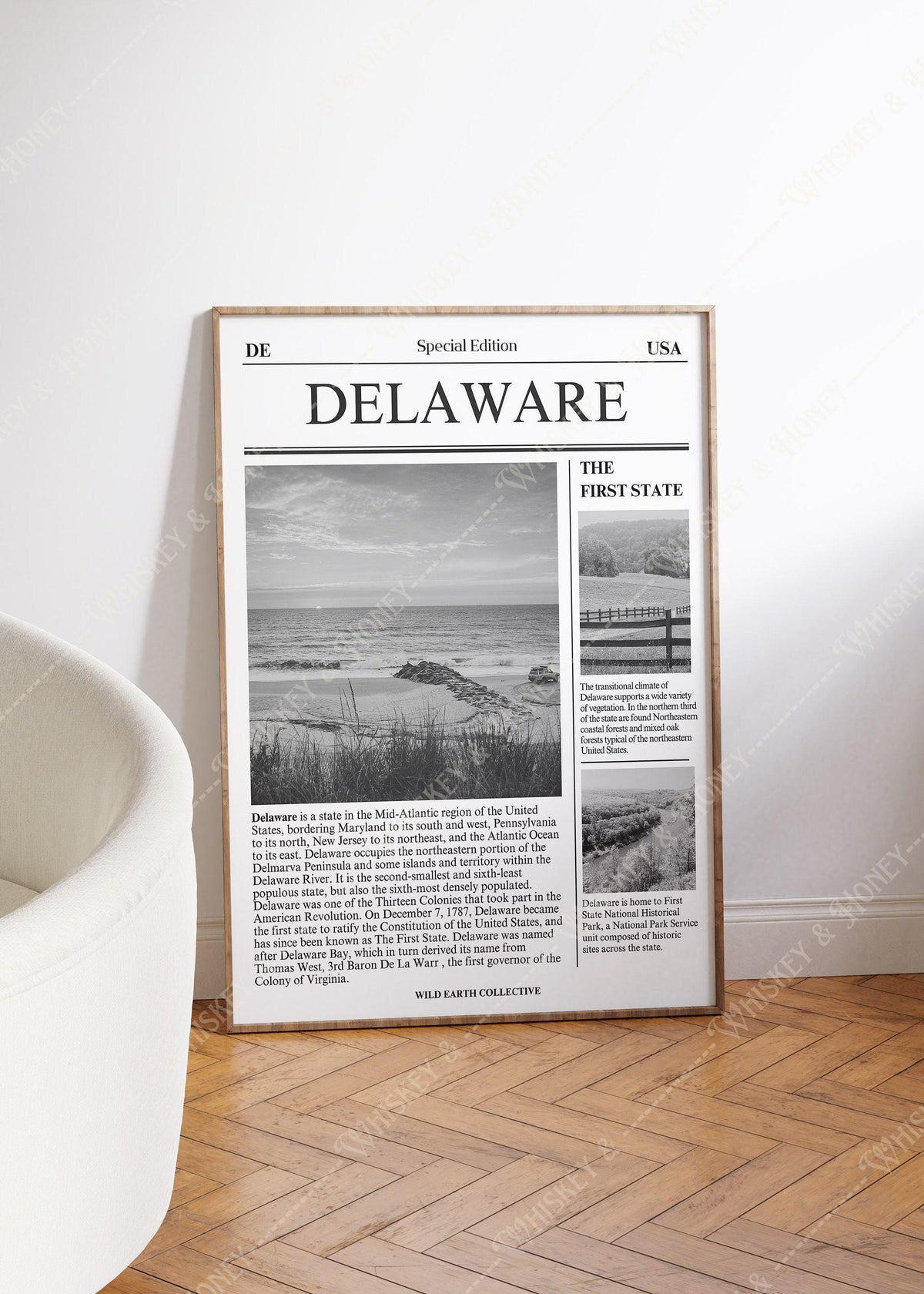 Delaware Newspaper Print