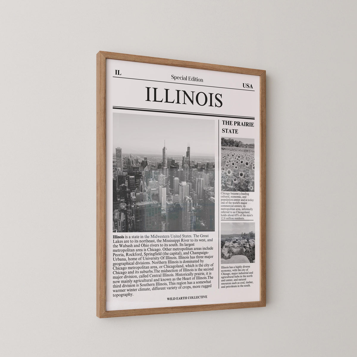 Illinois Newspaper Print