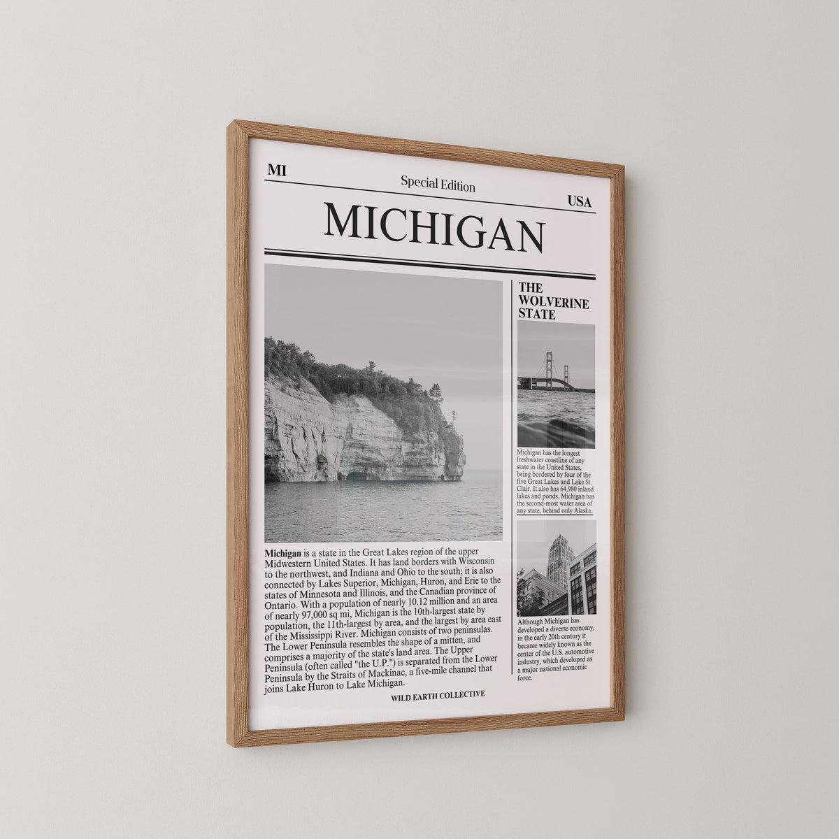 Michigan Newspaper Print