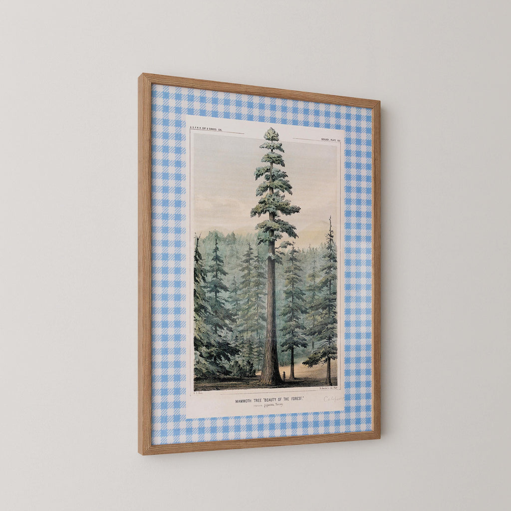 Vintage Pine Tree Print