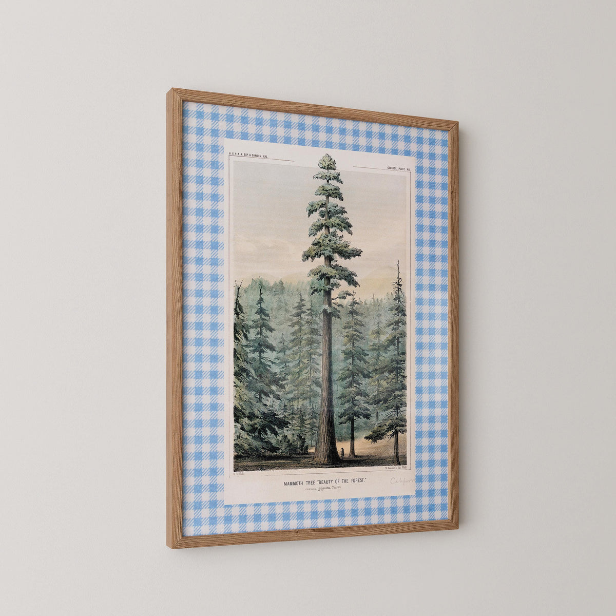 Vintage Pine Tree Print
