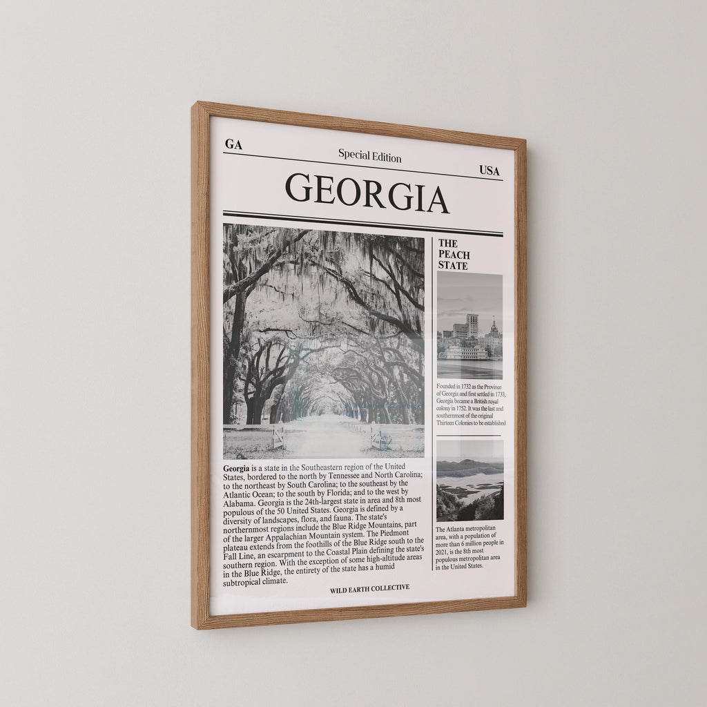 Georgia Newspaper Print