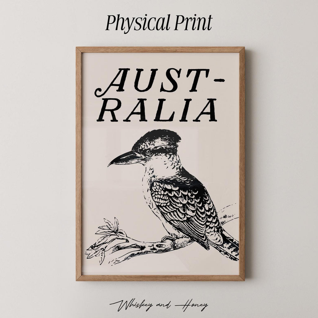 Australia Kookaburra Print