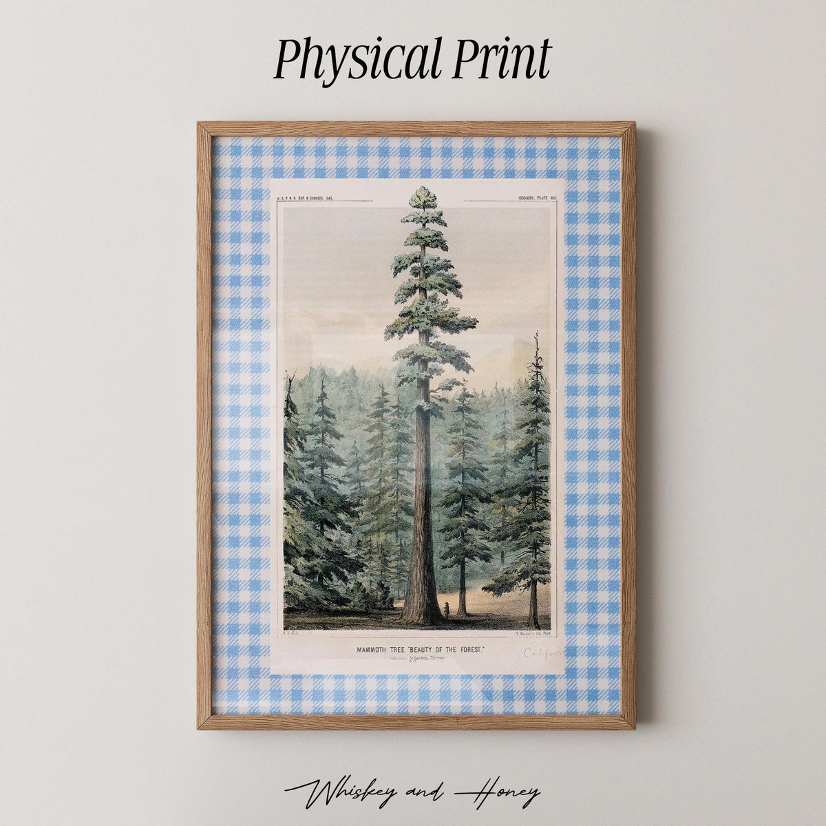 Vintage Pine Tree Print