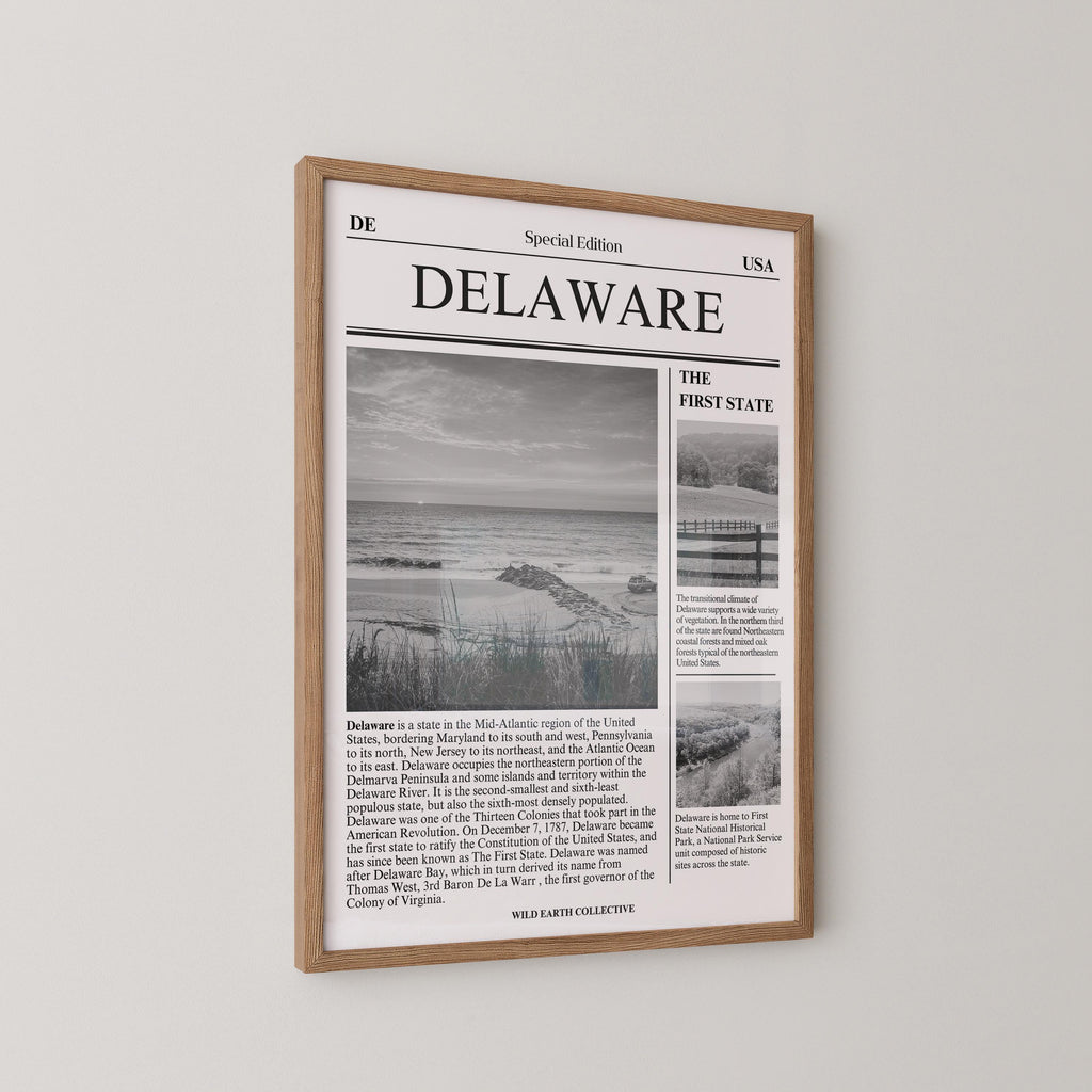 Delaware Newspaper Print