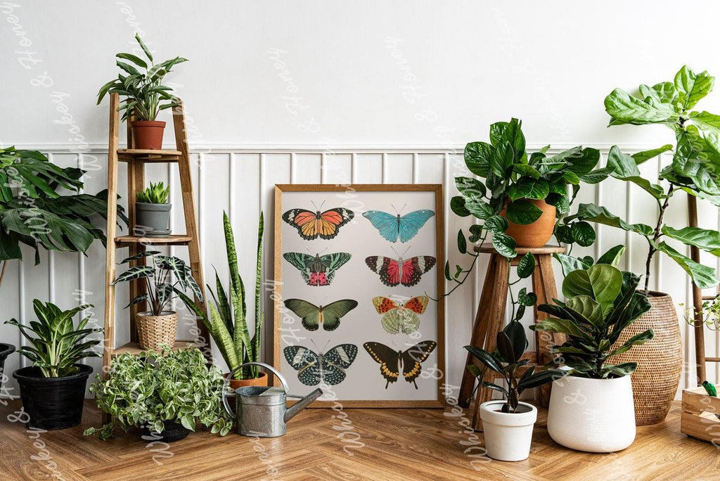 Vintage Butterfly Print