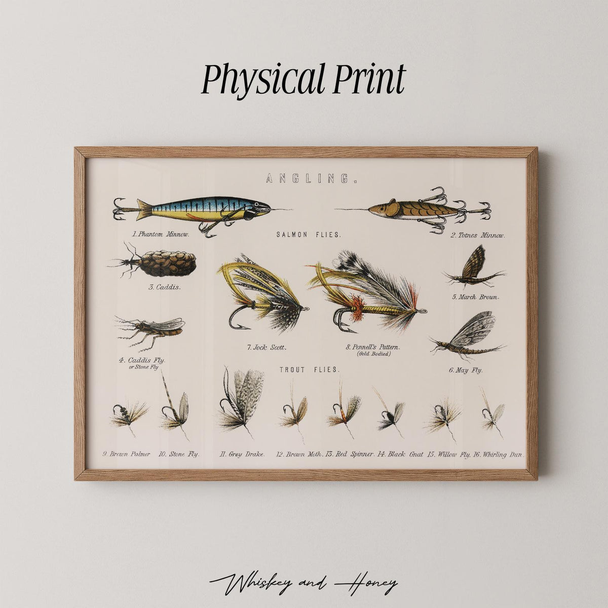 Vintage Salmon Flies Print