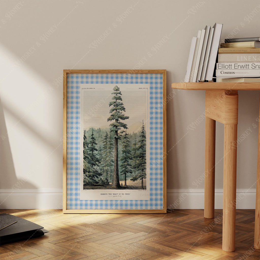 Vintage Pine Tree Print