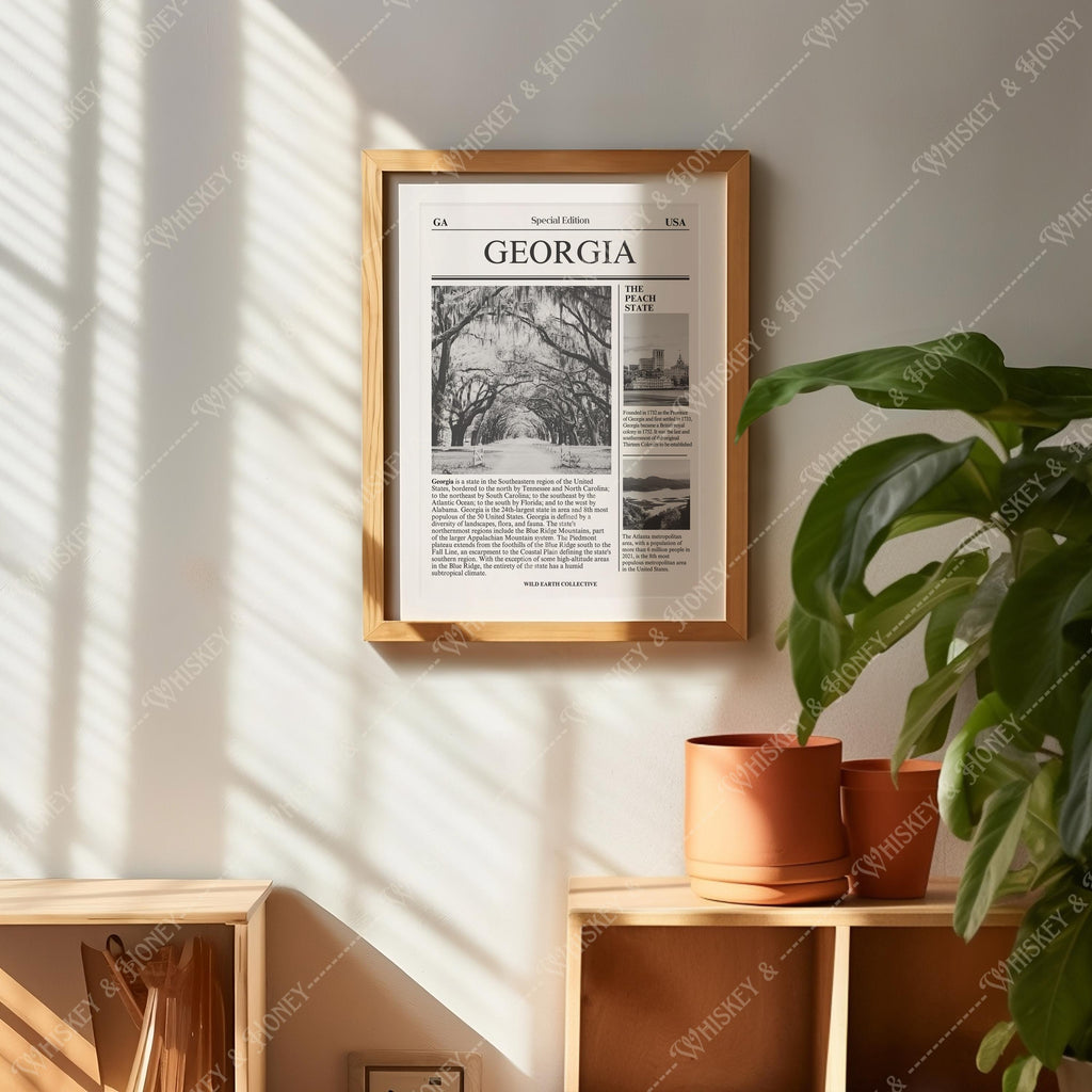 Georgia Newspaper Print