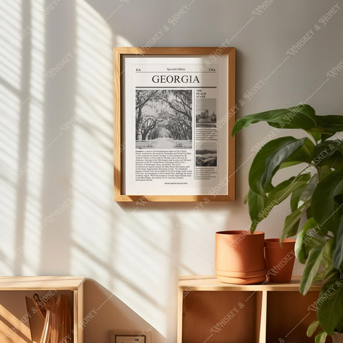 Georgia Newspaper Print