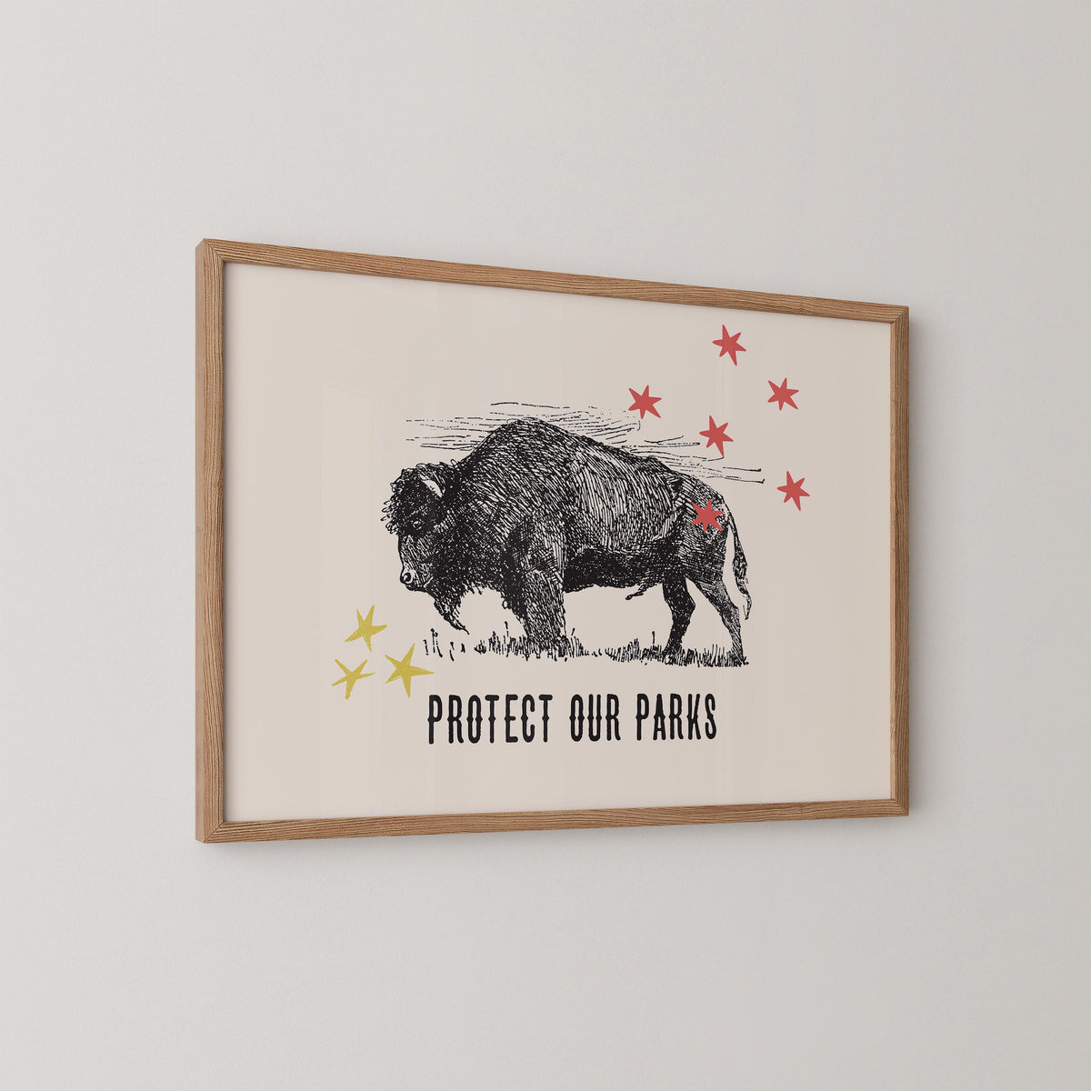 Protect Our National Parks Print