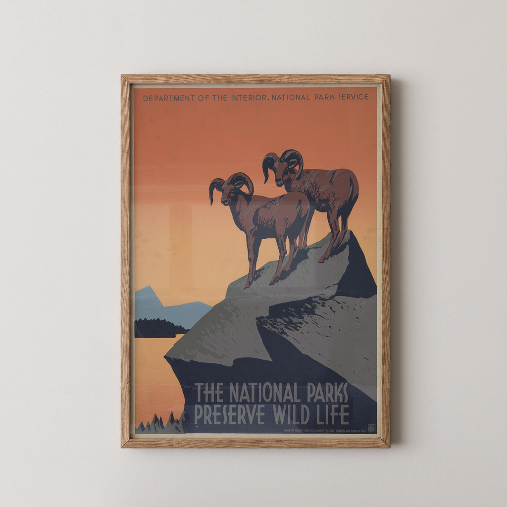 The National Parks Preserve and Wildlife Print