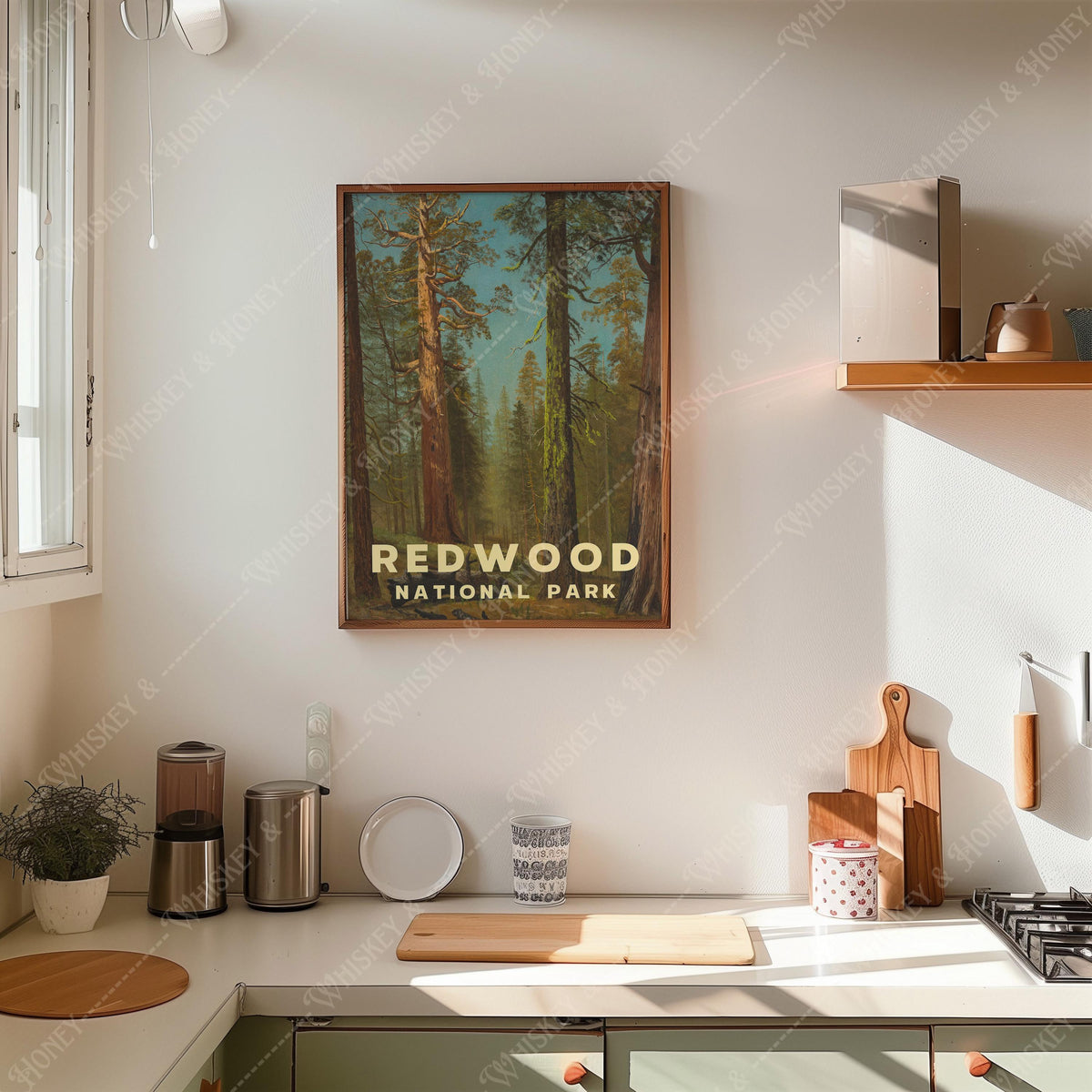 Vintage Redwood National Park Print