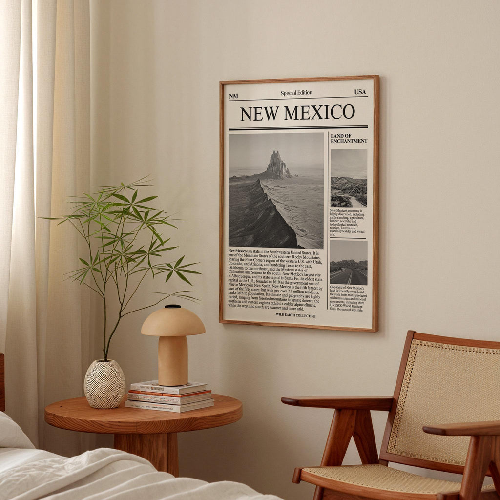 New Mexico Newspaper Print