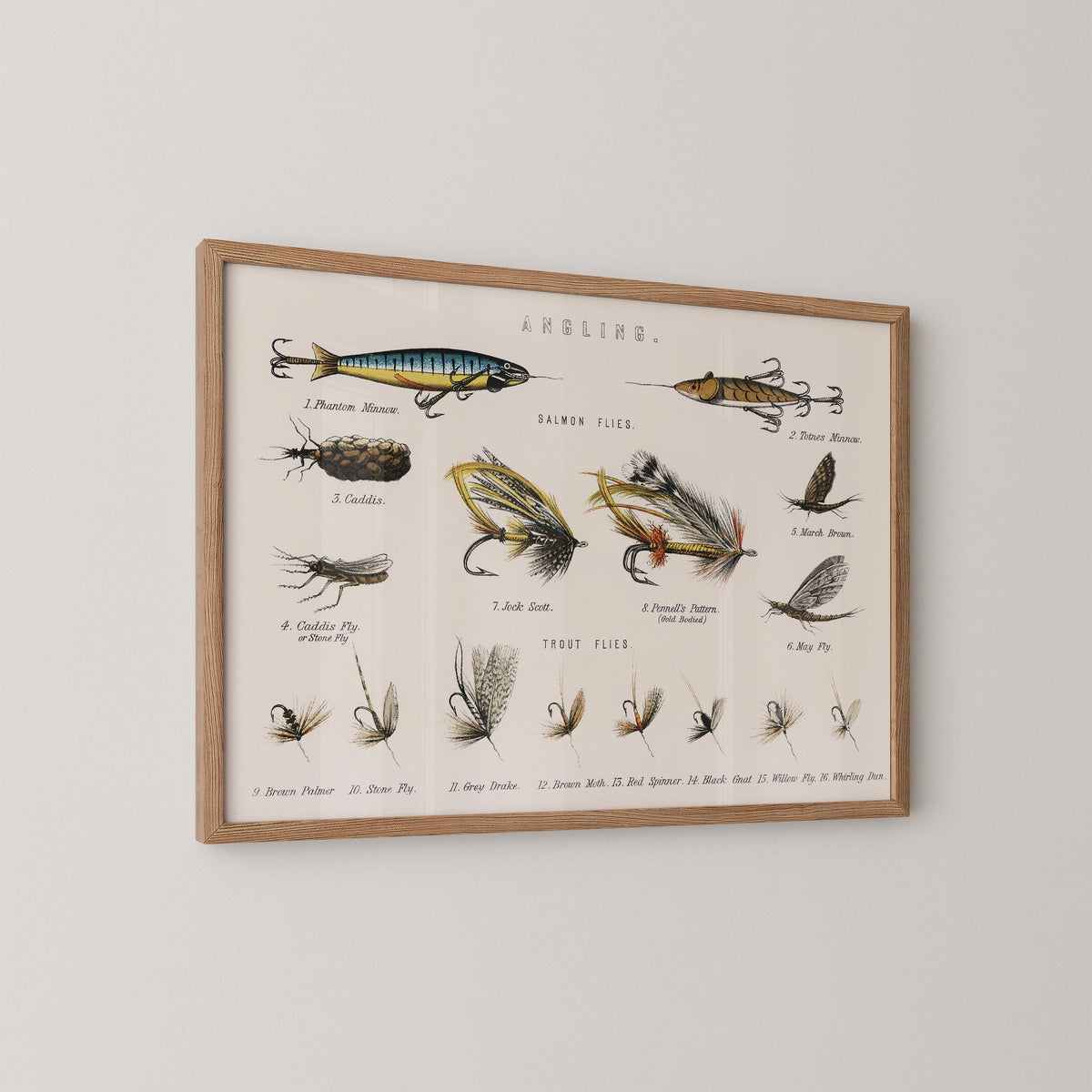 Vintage Salmon Flies Print